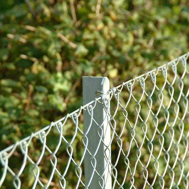 Maschendraht x-Detail
