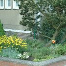 Maschendrahtzaun Rundrohr grün 