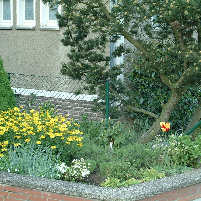 Maschendrahtzaun Rundrohr grün 